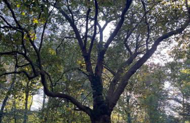 maison ancienne rénovée tout confort - Foto 7