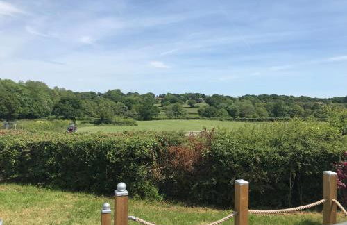 Shepherds Hut with Hot Tub - Foto 12