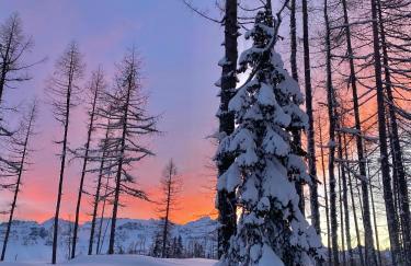 Residence Baita Antlia - Foto 53