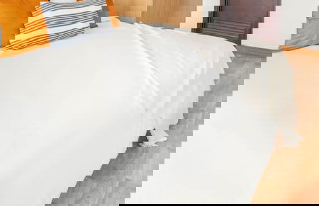 CANELA by Kozystay - Foto 4