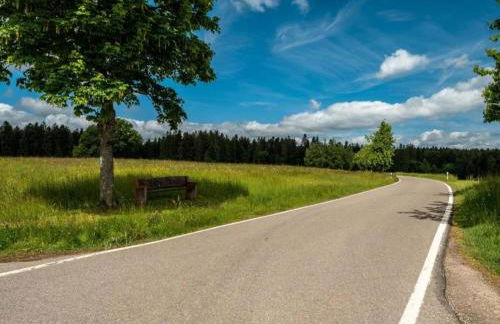 Ferienwohnung Marianne in Neuweiler - Foto 61
