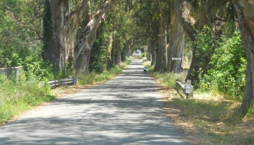 Pescadero Creek Inn - Foto 3