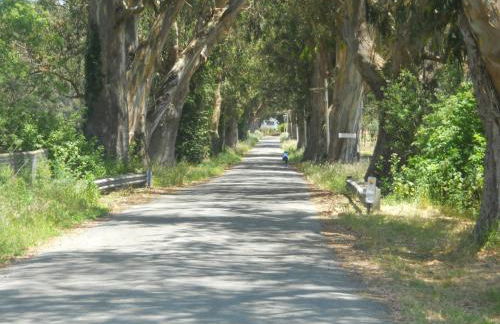 Pescadero Creek Inn - Foto 3