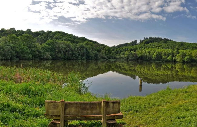 Cozy Apartment in Strotzbüsch near Eifel Center - Foto 20