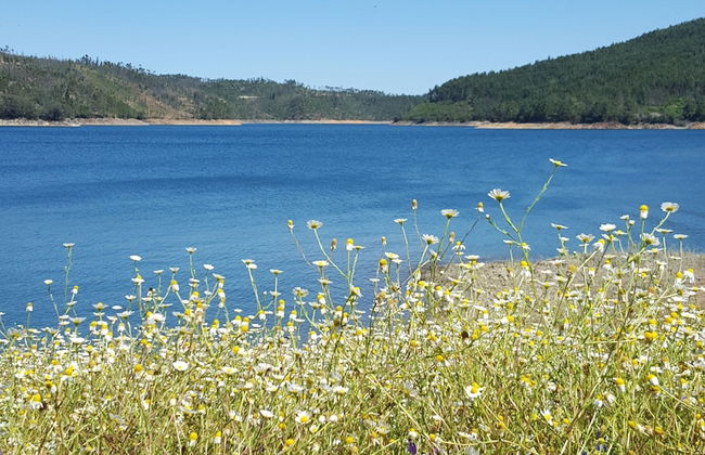 Aguas Belas b& be T1 Blue - Foto 17