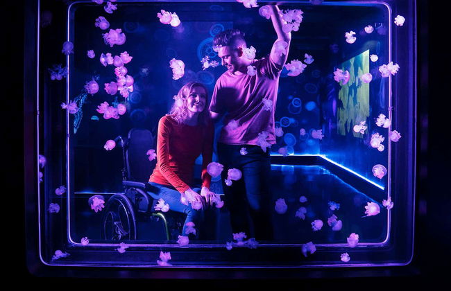 Entrada al Sea Life London - Foto 6