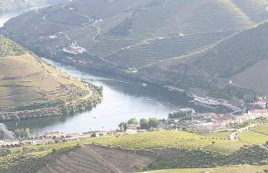 Casa Rodrigues - Foto 48