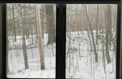 Where Memories Are Made - Foto 61