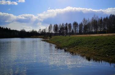 Sielanka Aleksandria - Foto 20