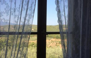 La casina del Poggio - Photo 12