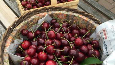 baerenhoele - Foto 2