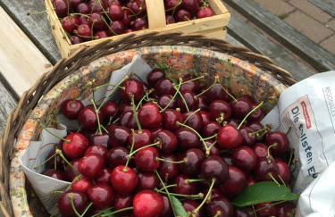 baerenhoele - Foto 2