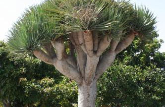 Casa El Salitre - Foto 18