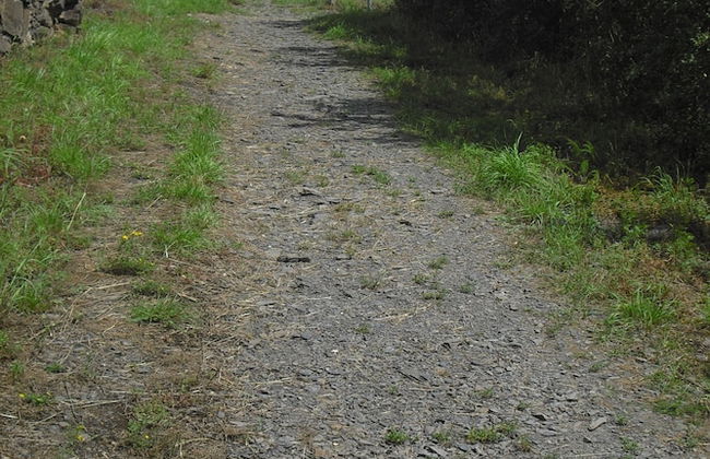 Ferienwohnung Haus Kotthoff - Foto 32