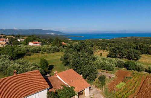 Apartman Viridis - Foto 1