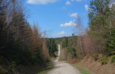 Bieszczadzka Zasadzka - Foto 21