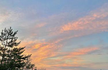 Czerwone Domki - Foto 24