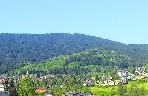 Romantic Style Apartment Titisee-Neustadt - Foto 24