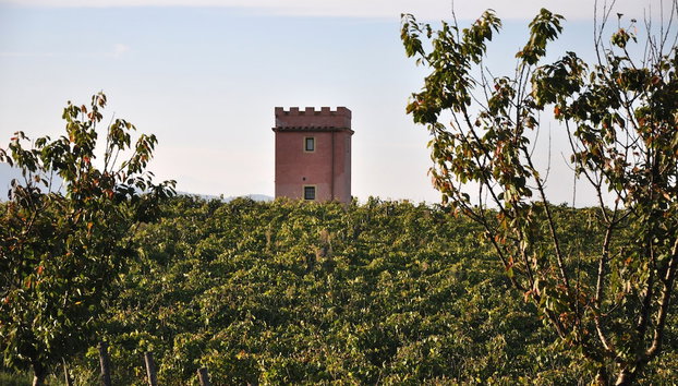 Fattoria Santa Lucia - Foto 4, Zimmer