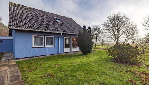 Haus-Austernfischer - Foto 2