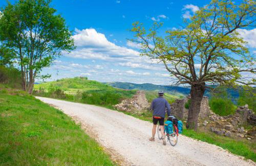 Villa Fiore Spinovci - Foto 41