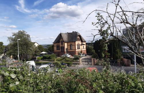 Rheingauzeit - Foto 1