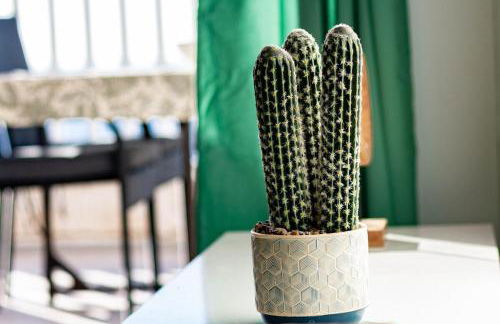 Vista Calma Suite Puerto Rico - Foto 31