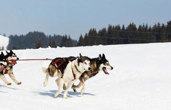 Au Doubs lac - Foto 31