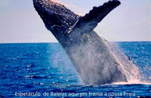 Vila Paraíso charme e conforto 80m da praia -15 min do Aeroporto - Foto 37