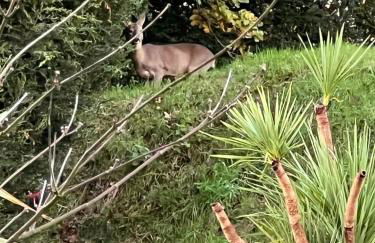 Luxury, private, secure self-contained Coach House, near Wythall and close to the NEC - Foto 31