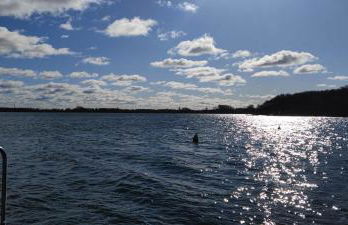 Ferienwohnung am Schweriner Außensee - Foto 32