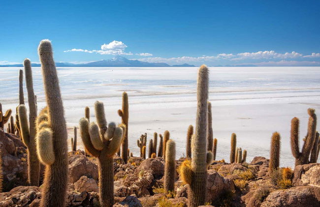 2-Day Trip to La Paz & the Salar de Uyuni - Foto 2