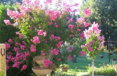 Le Rieufroid - Foto 48