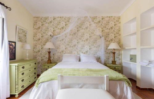 Monte Velho - Foto 40