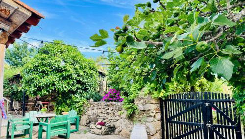 Salto del Caballo - Foto 5, Garden