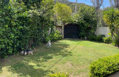 Villa Xenia&Akis - Foto 3