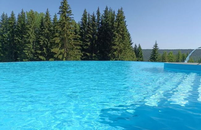 Lovely Apartment in Breitenbrunn With Shared Sauna - Foto 10