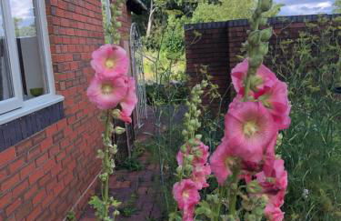 Myrtleberry Studio BnB - Foto 22