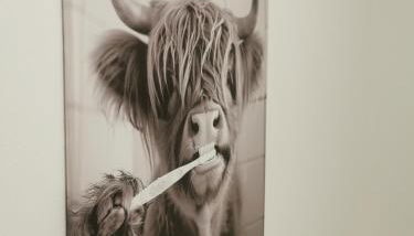 Stevenson Apartment in Oban City - Foto 5