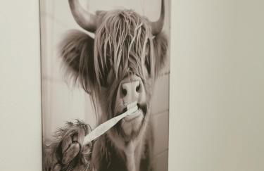 Stevenson Apartment in Oban City - Foto 5