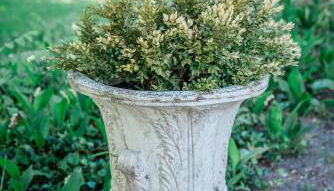 Bridgewalk Estate a Wanderlust Abodes Property - Foto 4