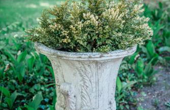 Bridgewalk Estate a Wanderlust Abodes Property - Foto 4