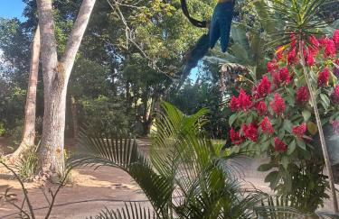 Chalé Canto dos Pássaros - Foto 21