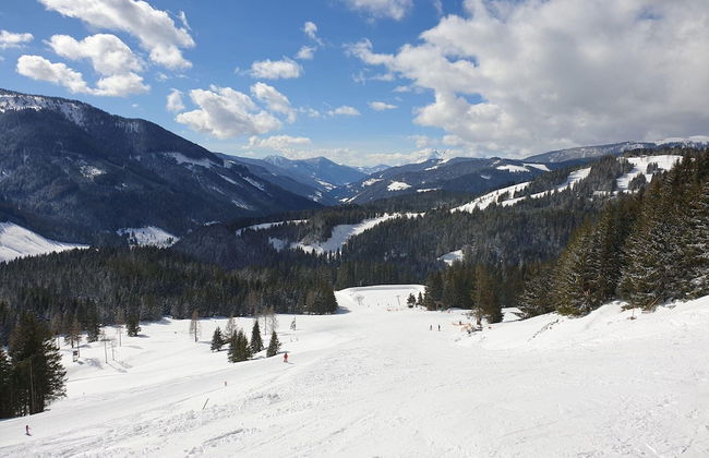 Apartment in Filzmoos Near Ski Amade - Photo 15