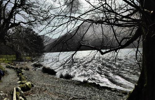 Pheasant Lodge Scottish Borders - Foto 23