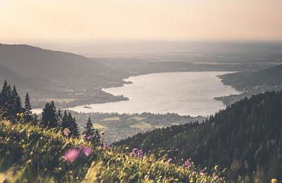 Zum Kistlerwirt - Foto 39