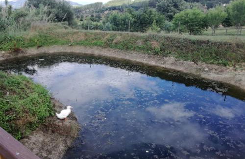 Quinta Rural - Nossa Sra do Carmo. Teixoso - Foto 41