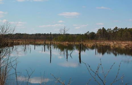 Fachwerk-Treppenspeicher, Ruhe auf dem Land, Haustiere willkommen, Leihfahrräder, 24-7 check in - Foto 56