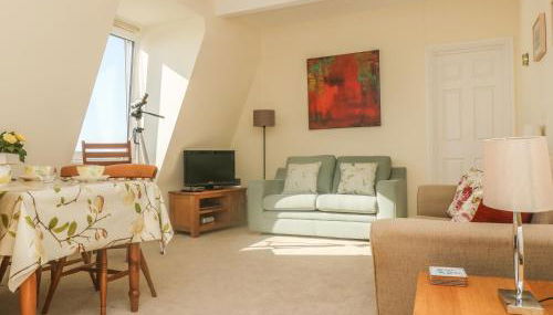 Gannet Watch - Foto 2