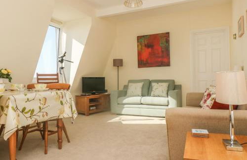 Gannet Watch - Foto 2